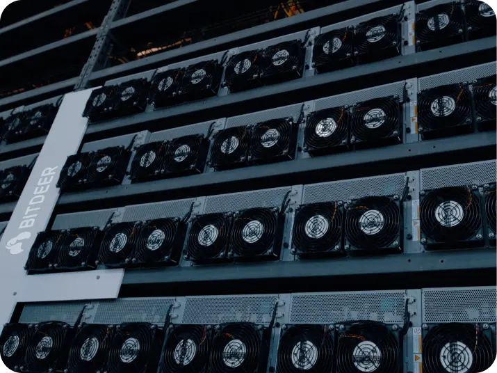 BITDEER